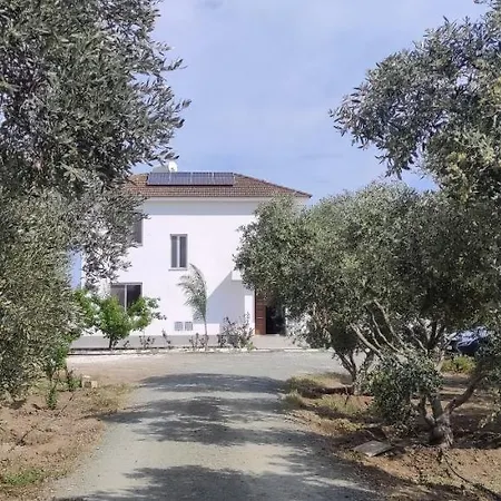 Village Villa, Cyprus, Salt-water Pool, 5 Bedrooms, Larnaca וילה