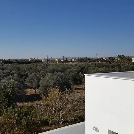 Village Villa, Cyprus, Salt-water Pool, 5 Bedrooms, Larnaca וילה