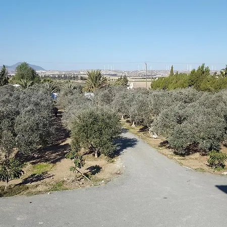 וילה Village Villa, Cyprus, Salt-water Pool, 5 Bedrooms, Larnaca Kiti