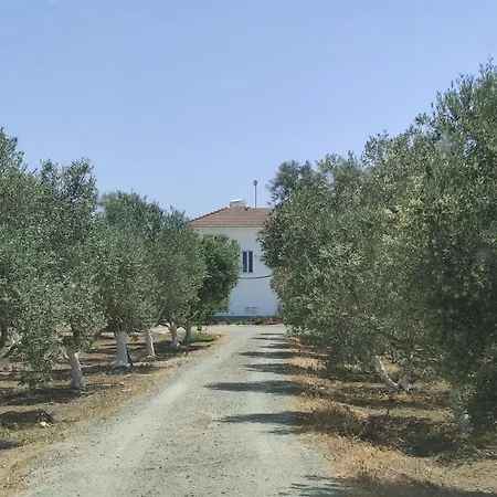 Village Villa, Cyprus, Salt-water Pool, 6 Bedrooms, Larnaca *