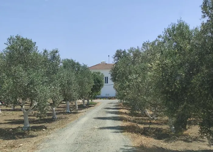 Village Villa, Cyprus, Salt-water Pool, 5 Bedrooms, Larnaca *