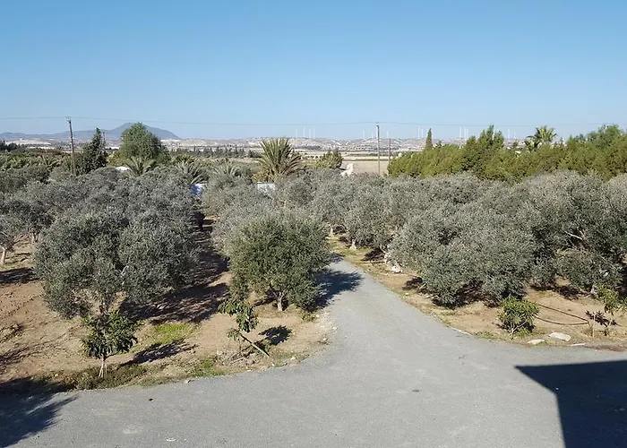 Villa Village Villa, Cyprus, Salt-water Pool, 5 Bedrooms, Larnaca Kiti